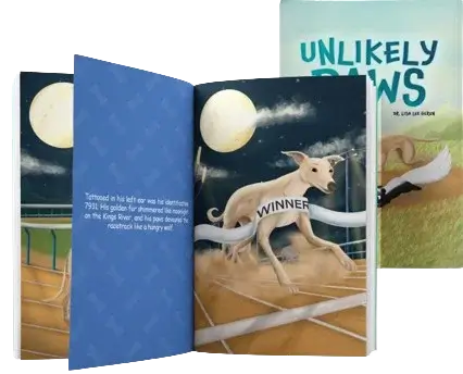 Barnes Noble Support